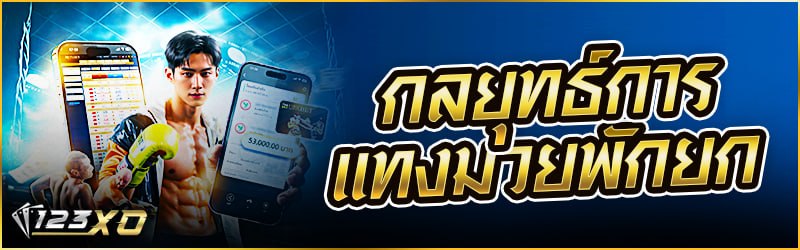 กลยุทธ์การ แทงมวย พักยก